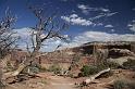 228 Canyonlands National Park